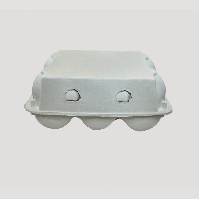 6 egg goose carton natural unprinted pulp 360 video