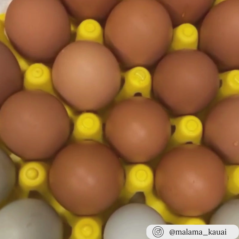 30 cell yellow plastic filler flat egg tray