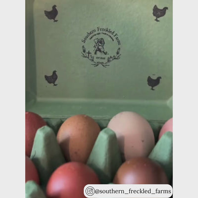 Army green vintage egg carton, unique egg packaging