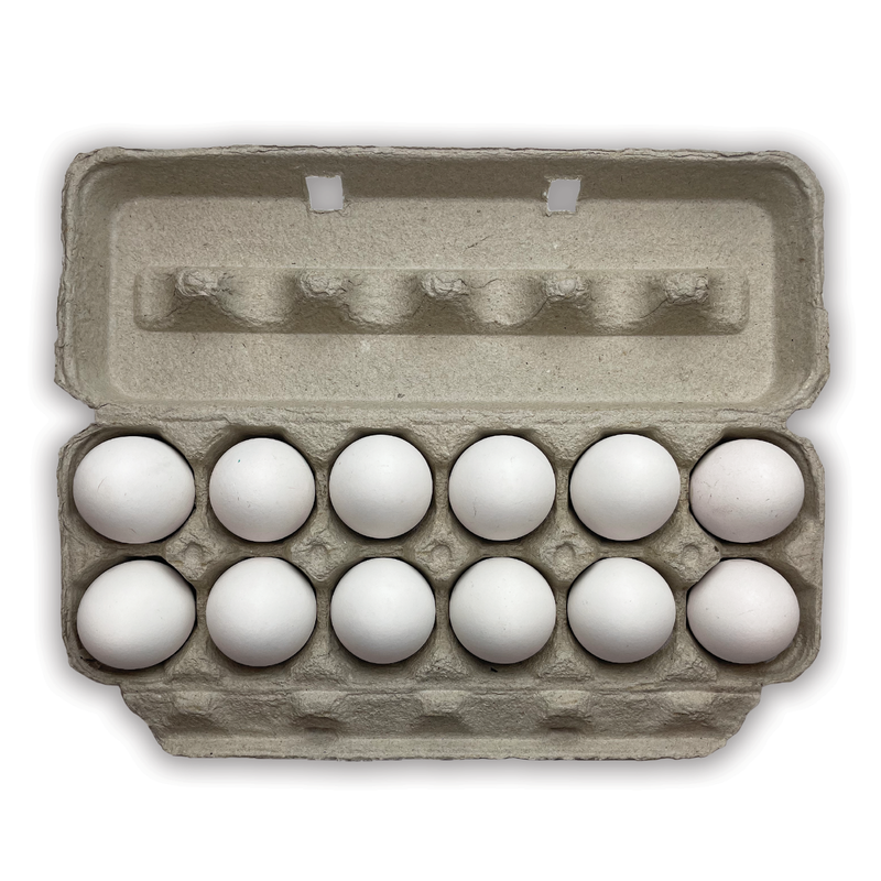 Blank Pulp Standard Egg Carton - Wholesale, Bulk Pricing