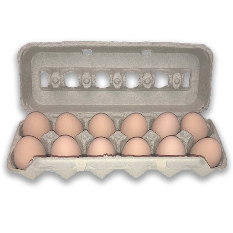 Jumbo Egg Carton Pulp - Bird Eggs