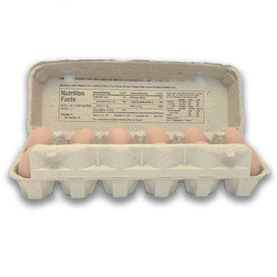 Paper Pulp Flat Top Egg Cartons, Bulk Pricing