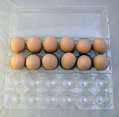 Tri- Fold Egg Carton Plastic Unlabeled