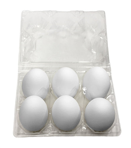 open view of plastic carton - holds 6 ducks eggs