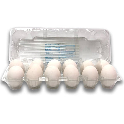 12 Egg Flat Top Plastic - Ovotherm, Wholesale