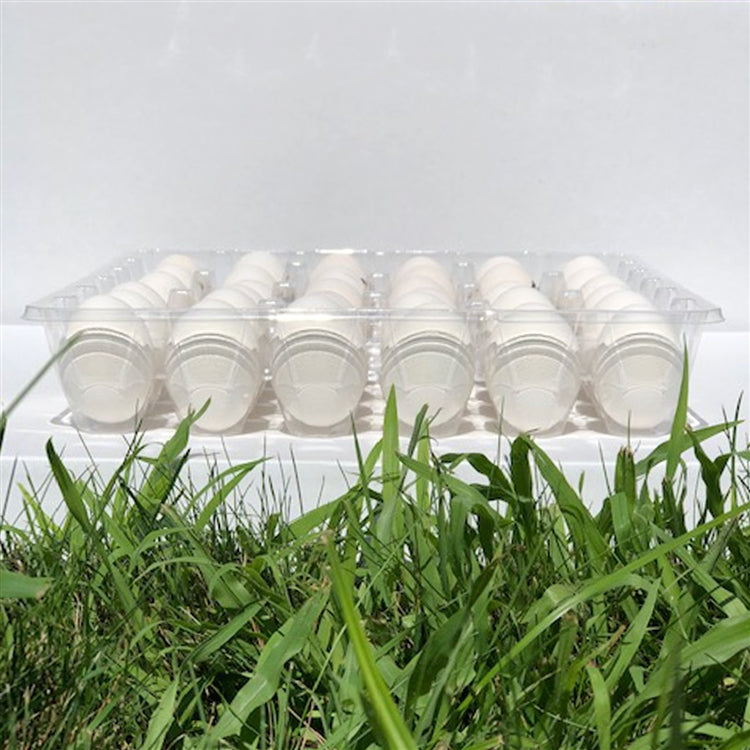 lifestyle image of a 36 cell egg tray, clear plastic, on a white table with grass in the foreground