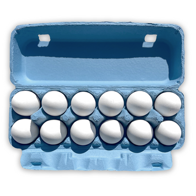 Baby Blue Flat Top Egg Carton, Wholesale