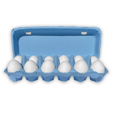 Flat Top 12 Egg Paper Baby Blue Carton, Blank