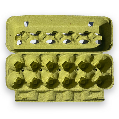 12 Egg Lime Cartons