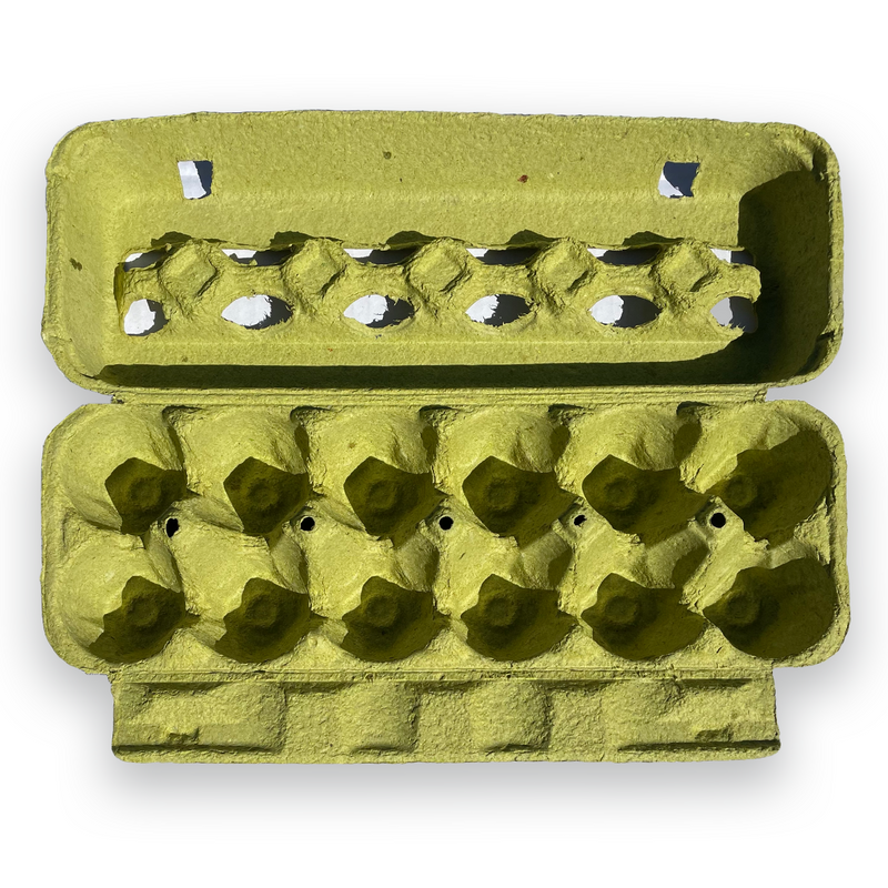 12 Egg Lime Cartons