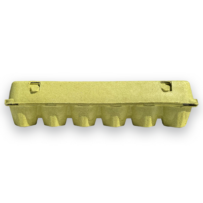 12 Egg Lime Cartons - Plain, Bulk Pricing