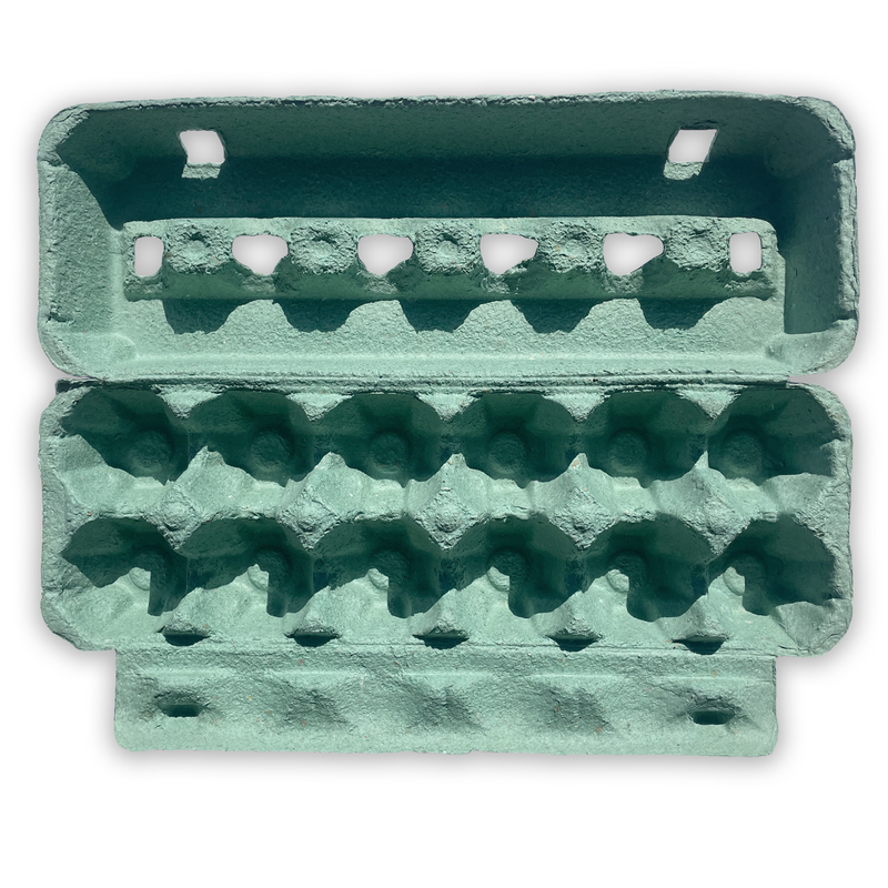 Teal Egg Cartons - Holds Bird eggs