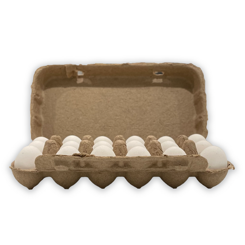 open, paper, natural, quail egg carton