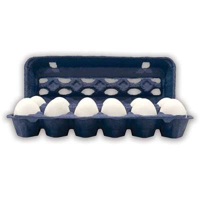 12 Egg Carton Paper Open View, WholeSale