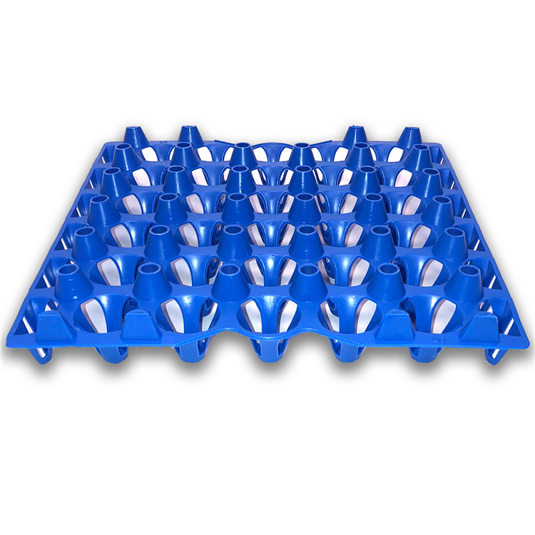 Egg Tray in plastic, color blue , in bulk